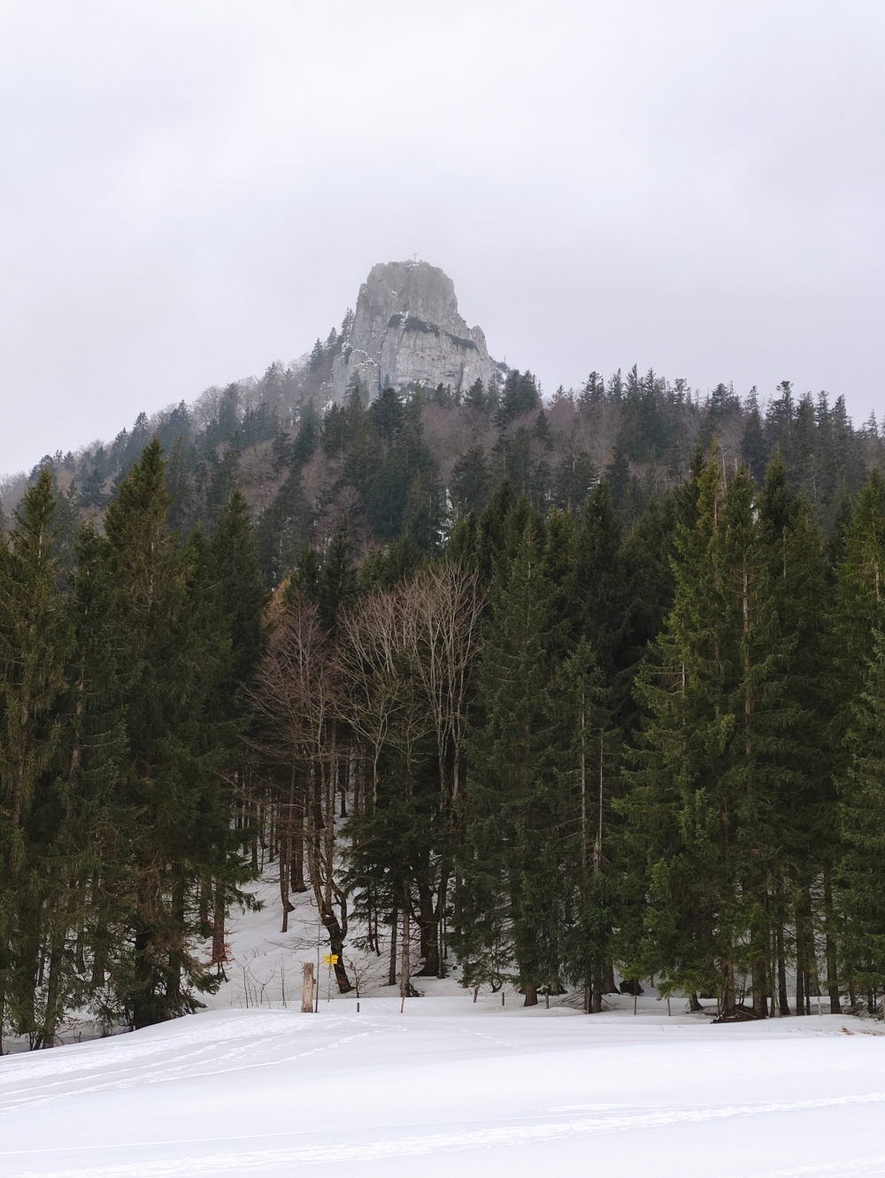 Wanderung Großstaffen: Abstieg über die Wiese mit Blick auf den Friedenrath 