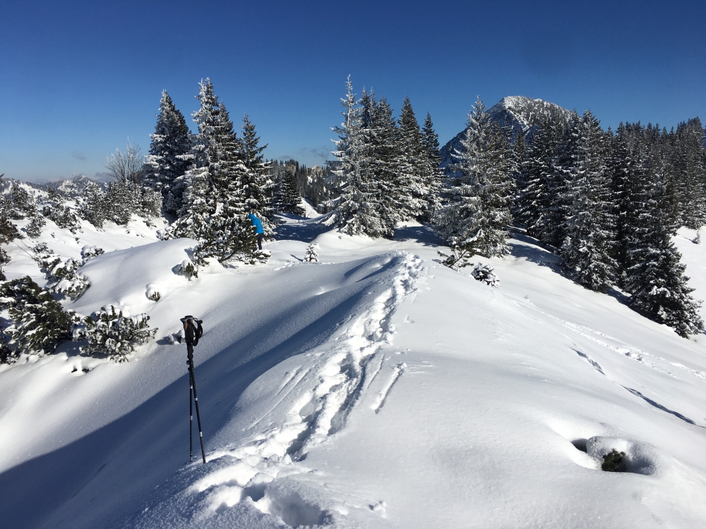 Wanderung Risserkogel: Wanderung Risserkogel: Am Grubereck im Winter