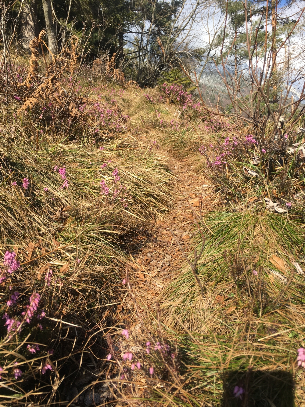 Wanderung Grubstein: Der Weg schlängelt sich durch die Wiesen