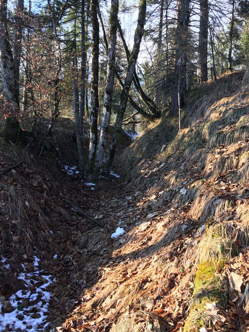 Wanderung Grubstein: Vergessene Pfade