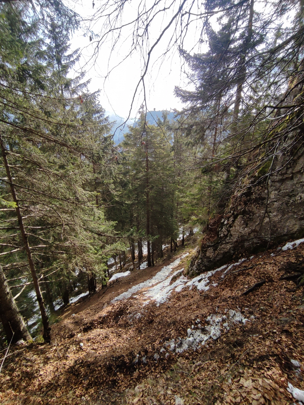 Wanderung Grünkopf und Ederkanzel: Aufstieg zum Grünkopf