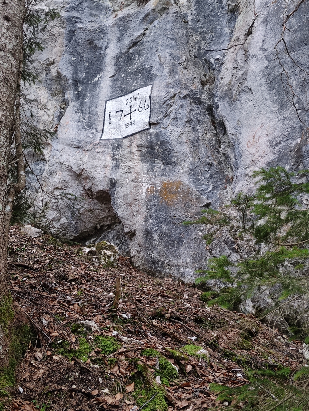 Wanderung Grünkopf und Ederkanzel: Abstieg bei den Ferchenseewänden