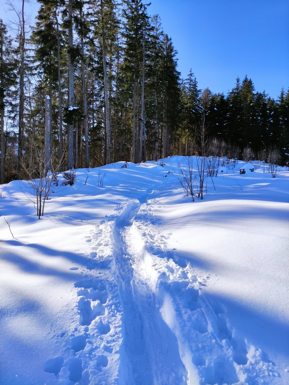 Wanderung Grünten von Kranzegg: Im Winter mit Schneeschuhen