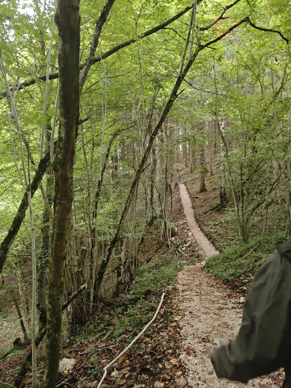 Wanderung Gscheuerwand: Neu angelegt (2026)