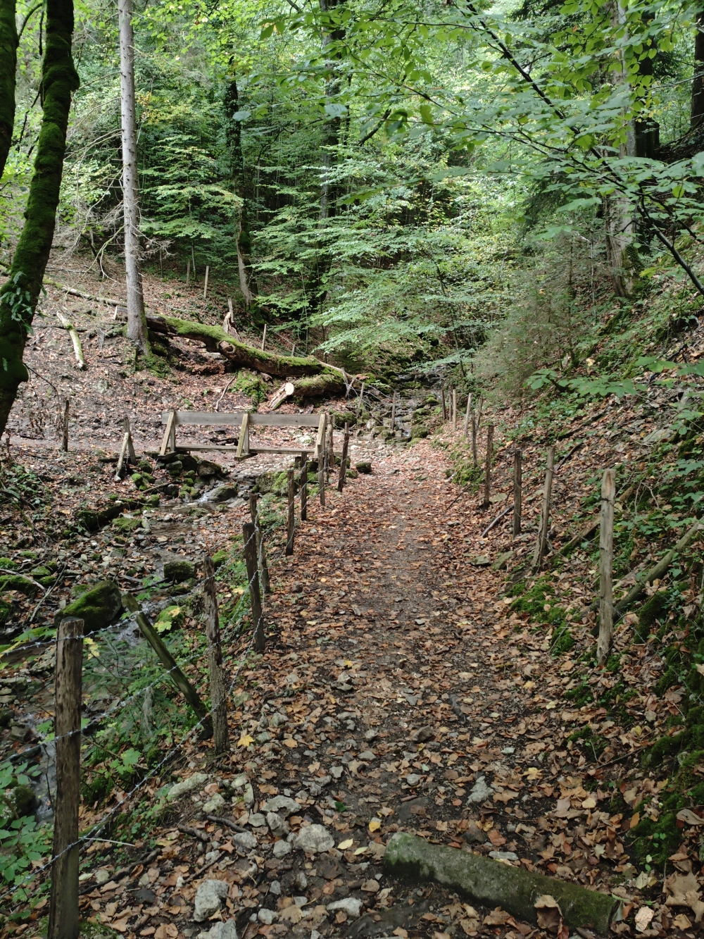 Wanderung Gscheuerwand: Bachüberquerung