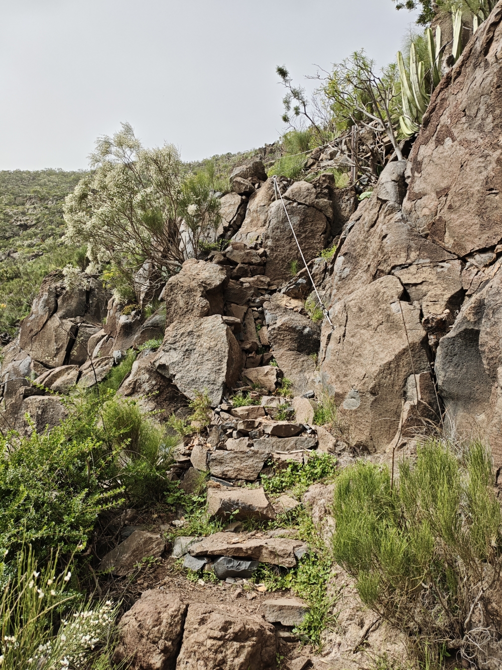 Wanderung Guama: Aufstieg zum Gipfel