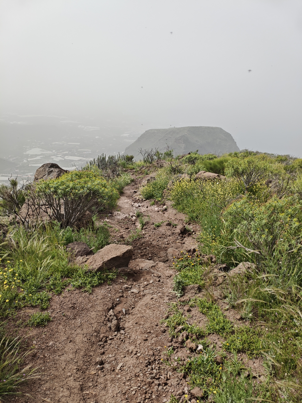 Wanderung Guama: Abstieg Richtung Nifa