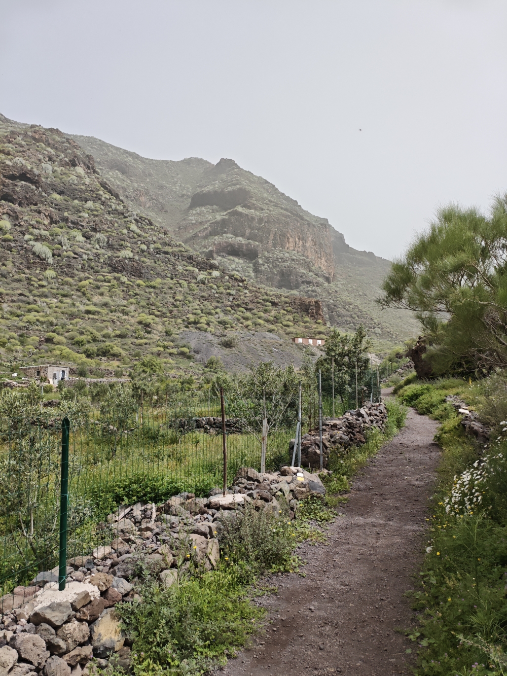 Wanderung Guama: Rückweg im Tal
