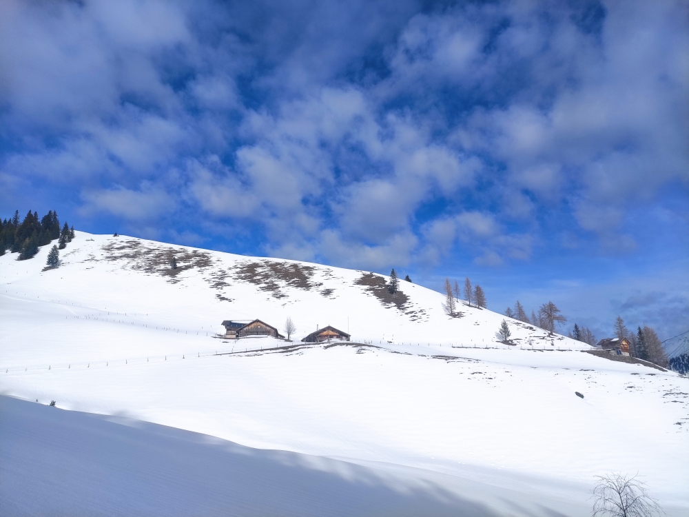 Wanderung Gütenbergkopf: Aufstieg zur Gütenbergalm