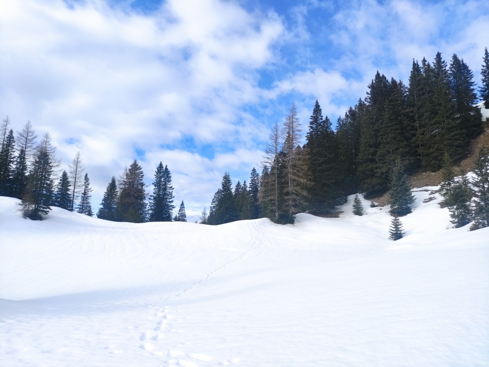 Wanderung Gütenbergkopf: Aufstieg in den Feilsattel