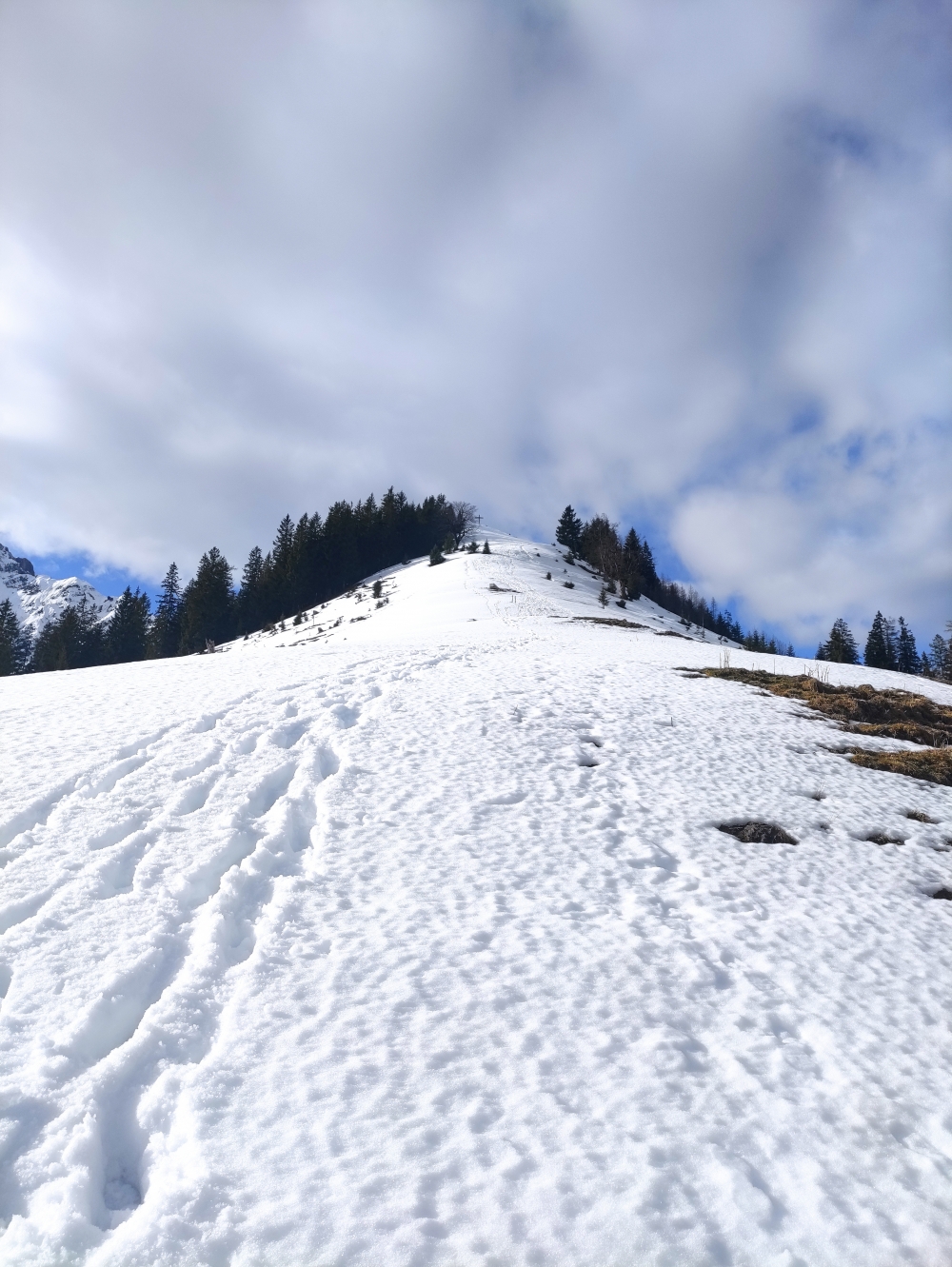 Wanderung Gütenbergkopf: Winter