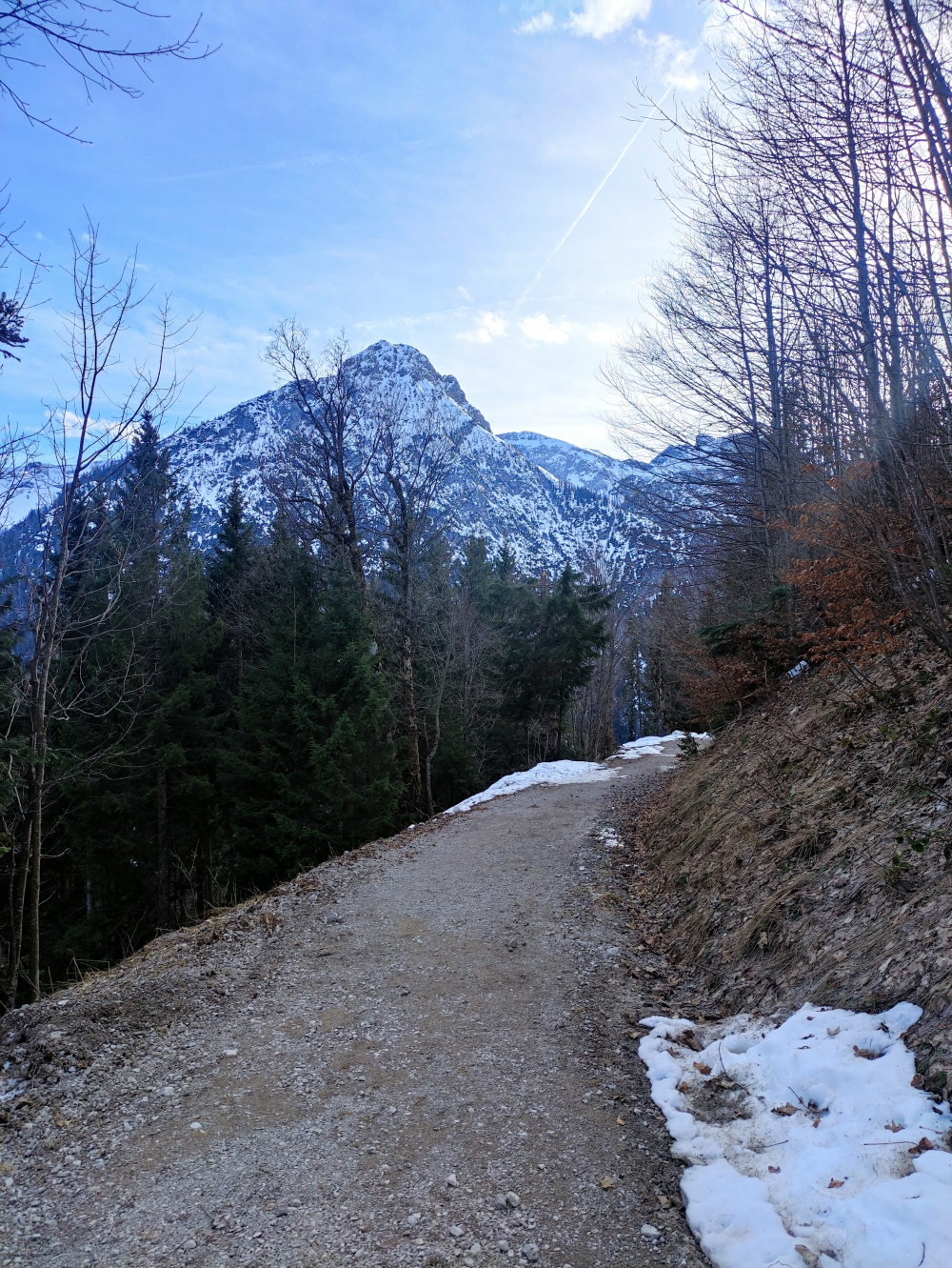 Wanderung Gütenbergkopf: Im oberen Teil Forststraße