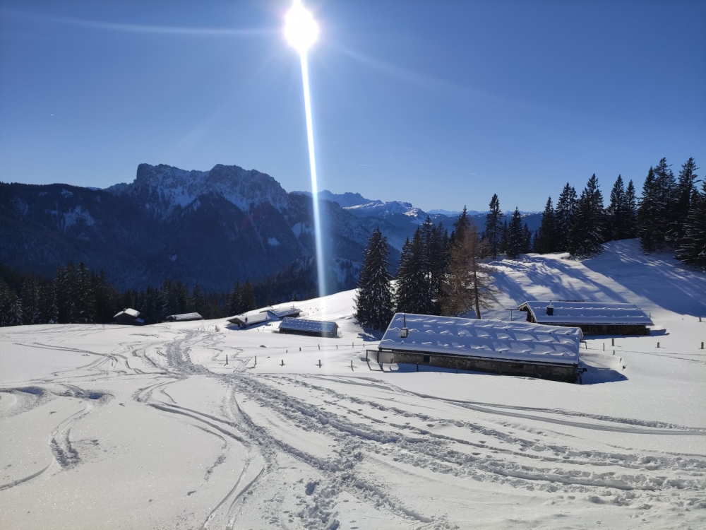 Wanderung Haaralmschneid: Wanderung Haaralmschneid: Die Haaralm mit Hörndlwand und Gurnwandkopf im Süden