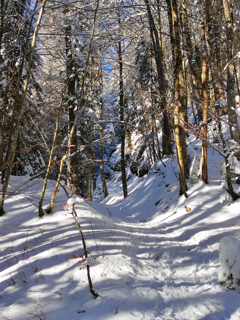 Wanderung Haaralmschneid: Winterwanderung