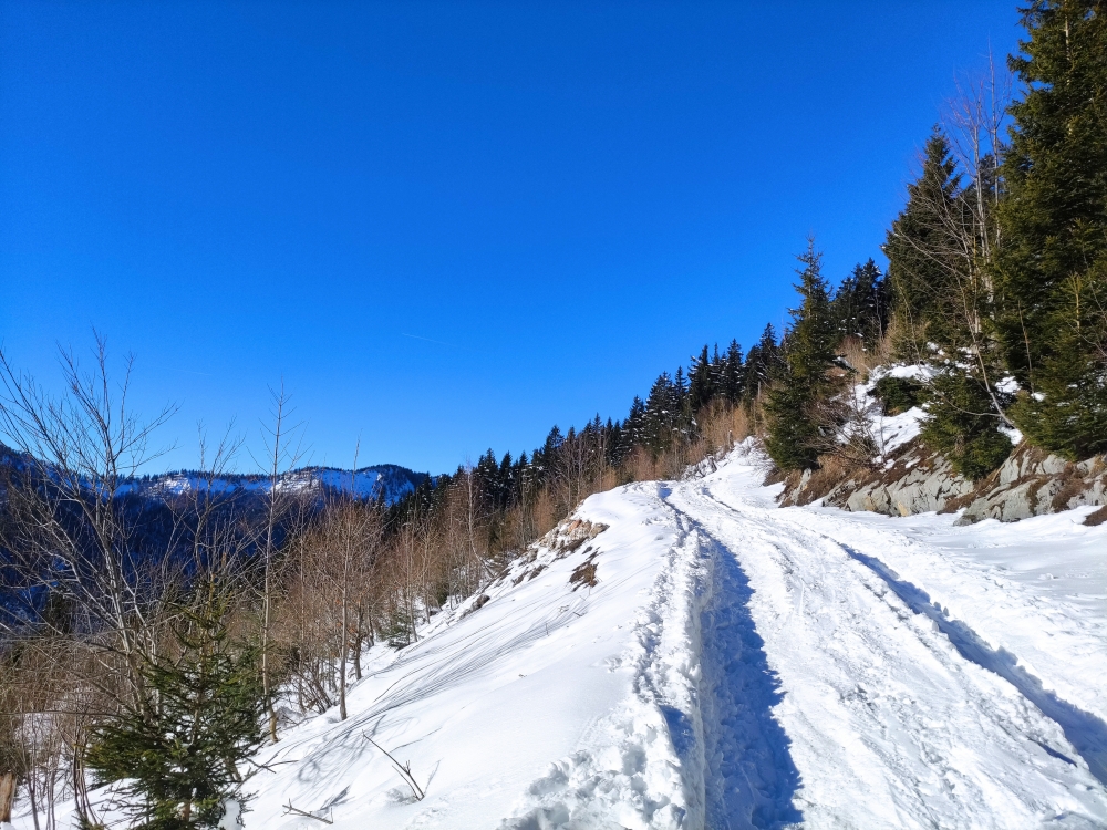 Wanderung Haaralmschneid: Rodelstrecke