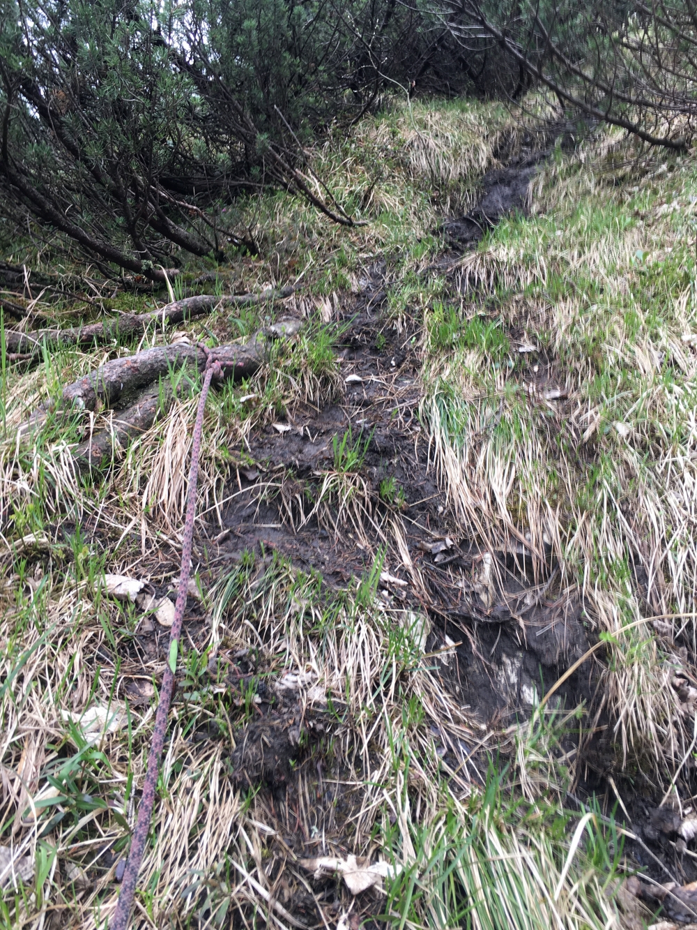 Wanderung Hachelspitz: Ein altes Kletterseil soll helfen eine steil, erdige Stelle zu überwinden.