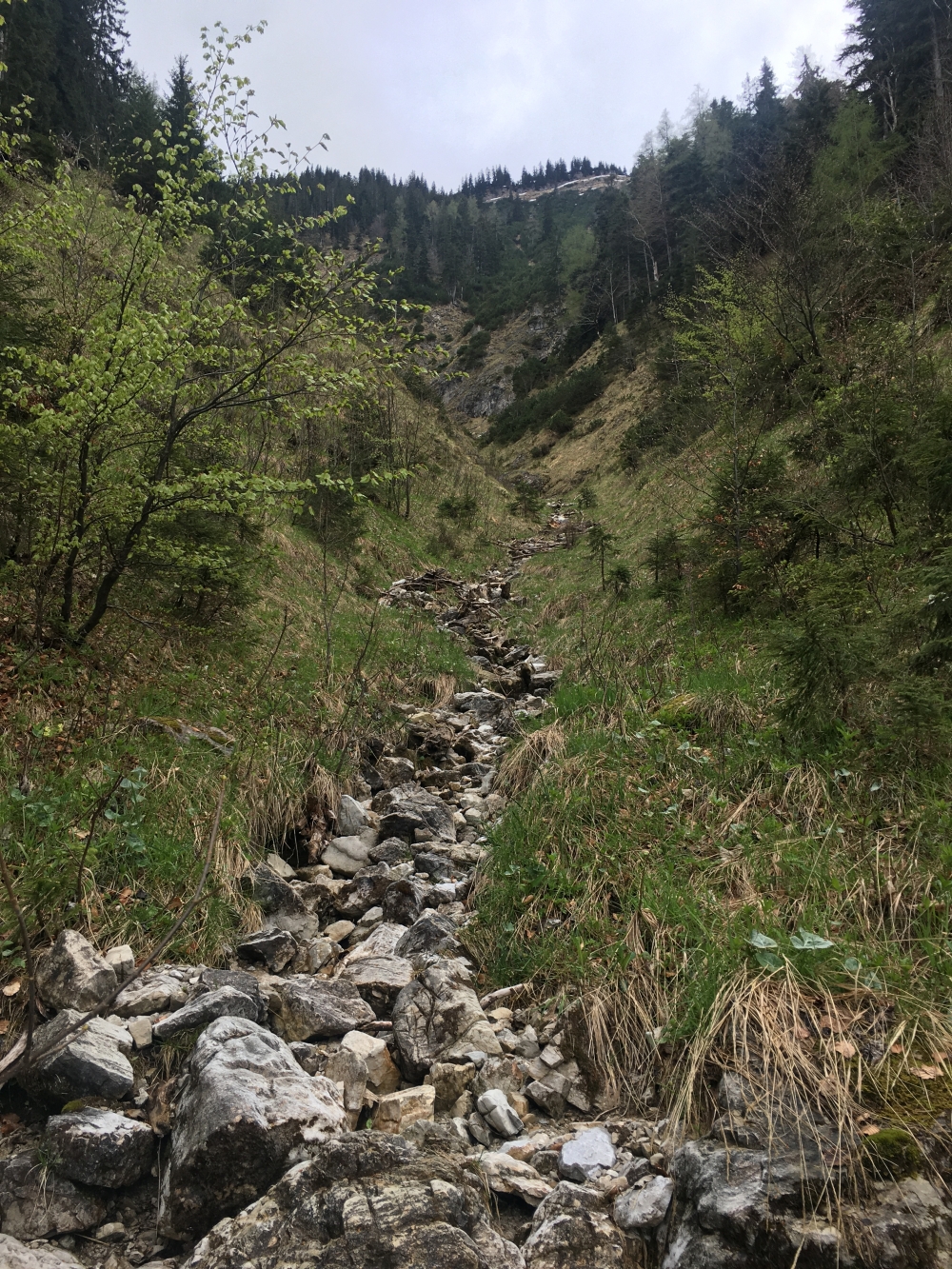 Wanderung Hachelspitz-Höhenweg (Nord): Durch den Blechgraben