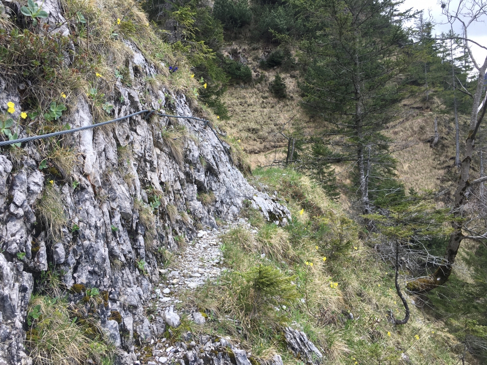 Wanderung Hachelspitz-Höhenweg (Nord): Seilsicherungen auf dem Höhenweg