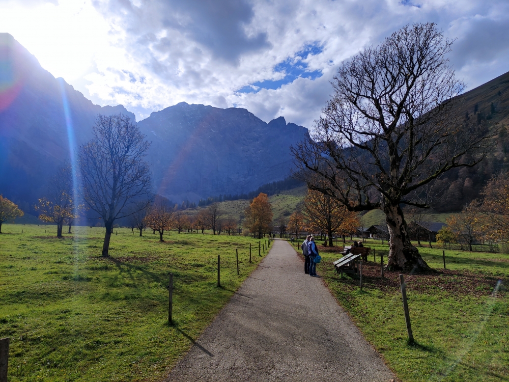 Wanderung Binsalm über Forststraße: Teerweg