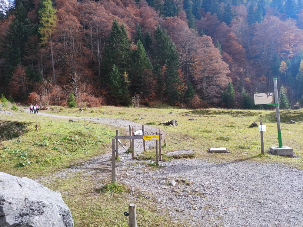 Wanderung Binsalm über Forststraße: Über den Steig zur Binsalm
