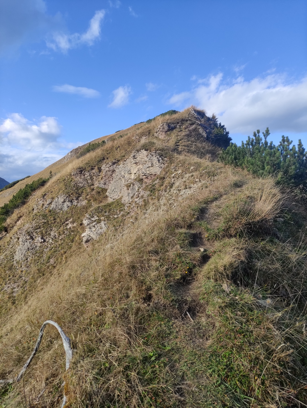 Wanderung Hahnkampl: Durch die Latschen