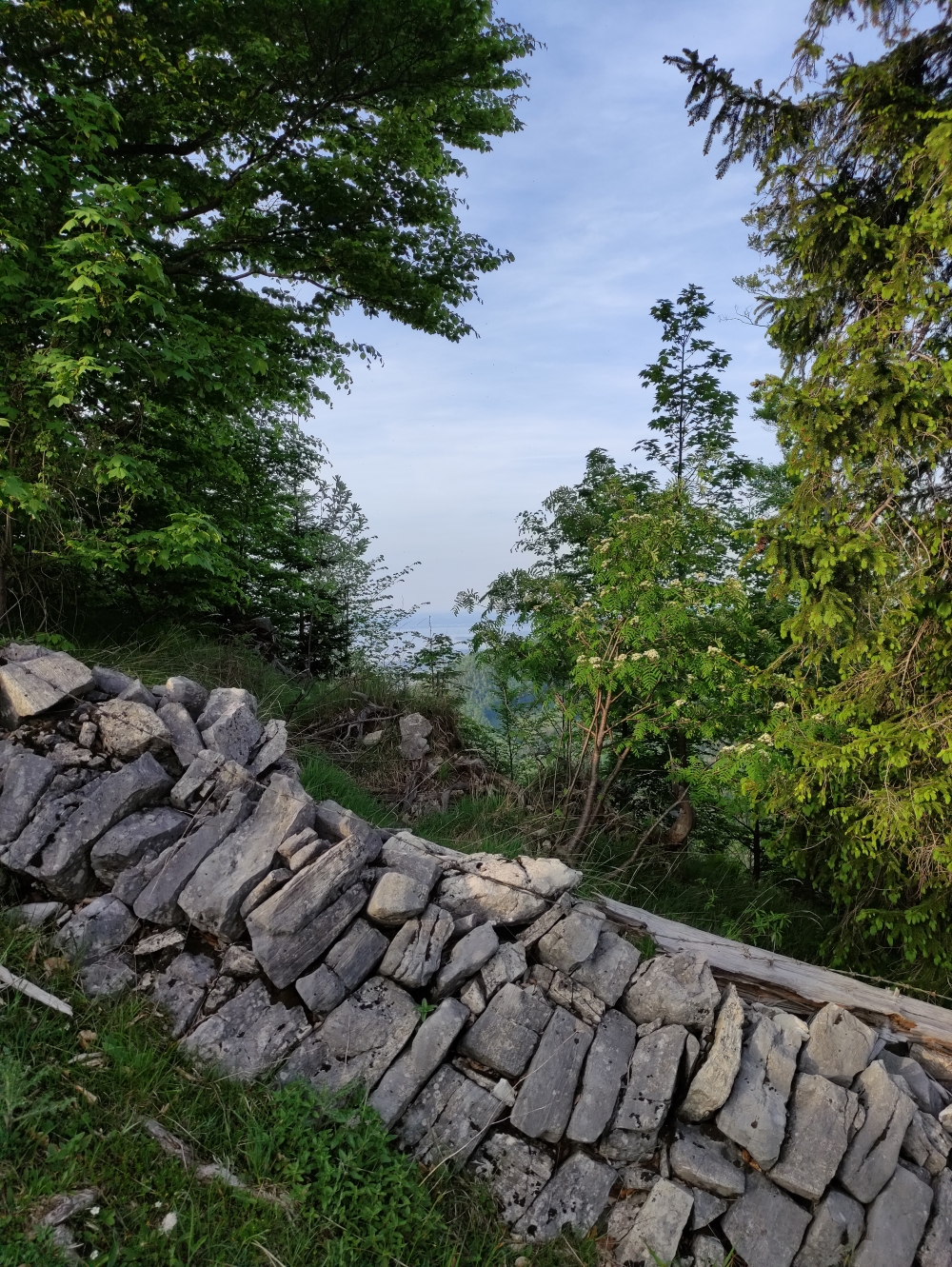 Wanderung Haindorfer Berg: An der Trockenmauer entlang