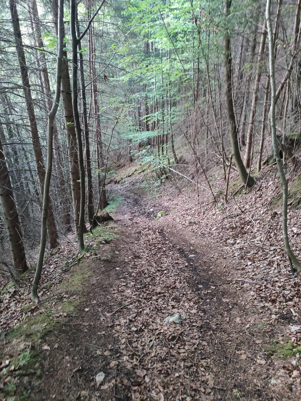 Wanderung Haindorfer Berg: Der alte Weg zwischen Aschau und Maisalm