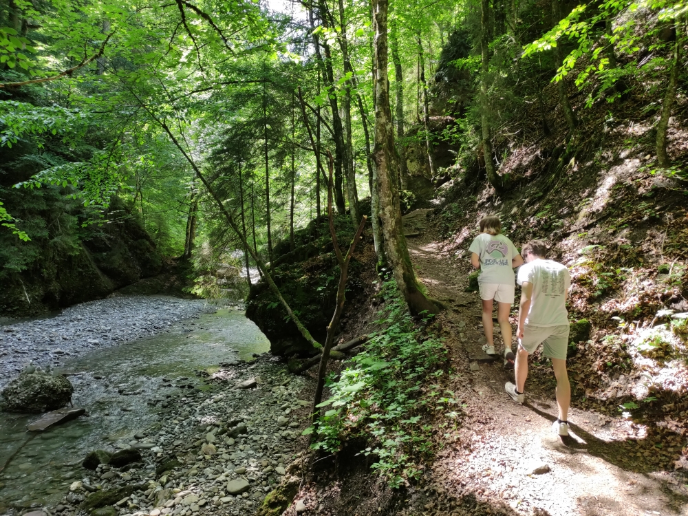 Wanderung Gunzesrieder Tobel: Tobelweg Ostertal