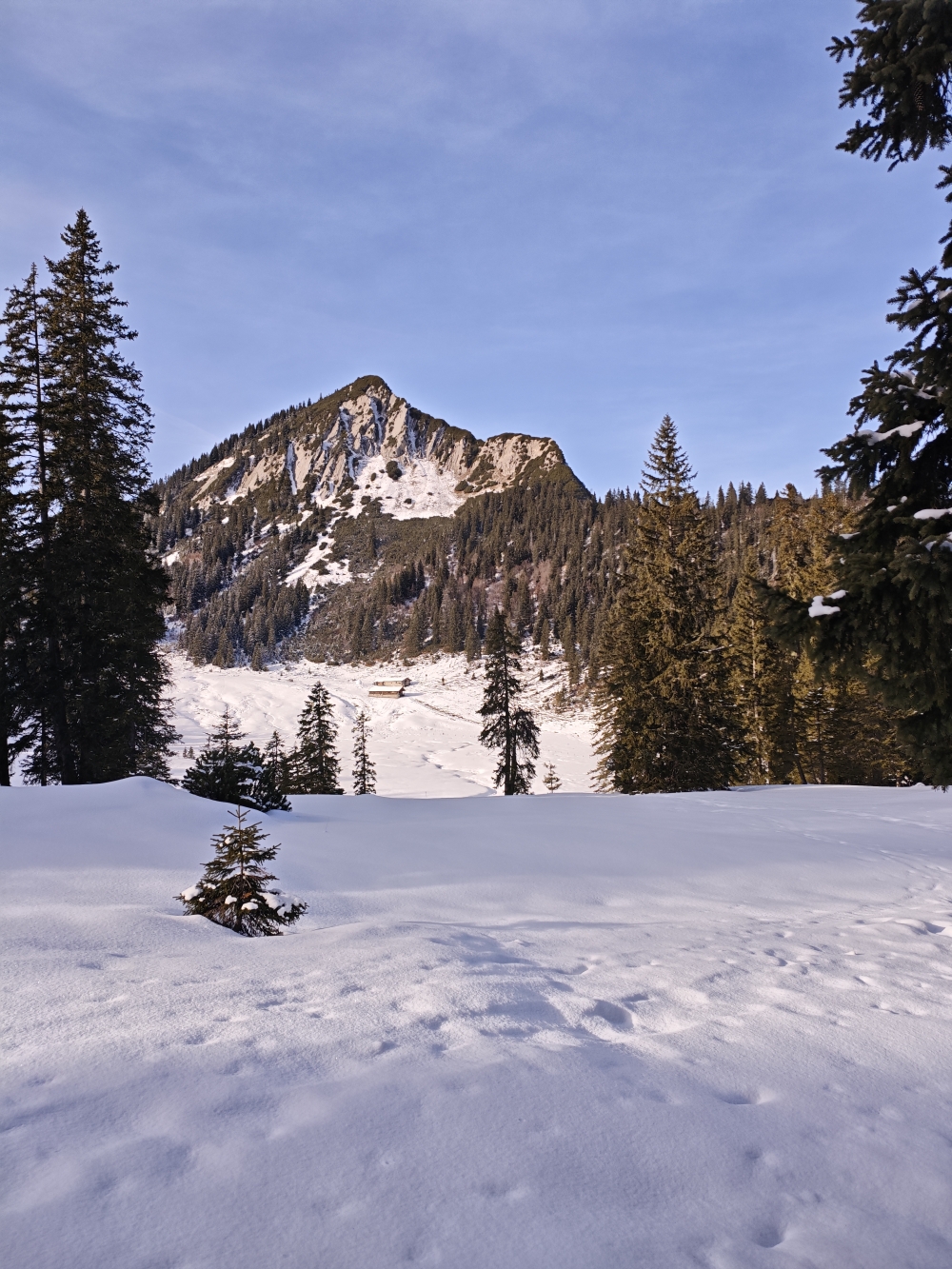 Wanderung Halserspitz: Blick über die Bayerische Wildalm zur Halserspitz