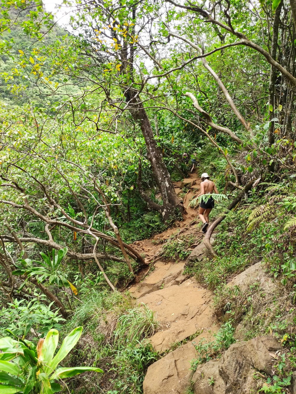 Wanderung Hanakapiai Falls: Quer durch den Urwald