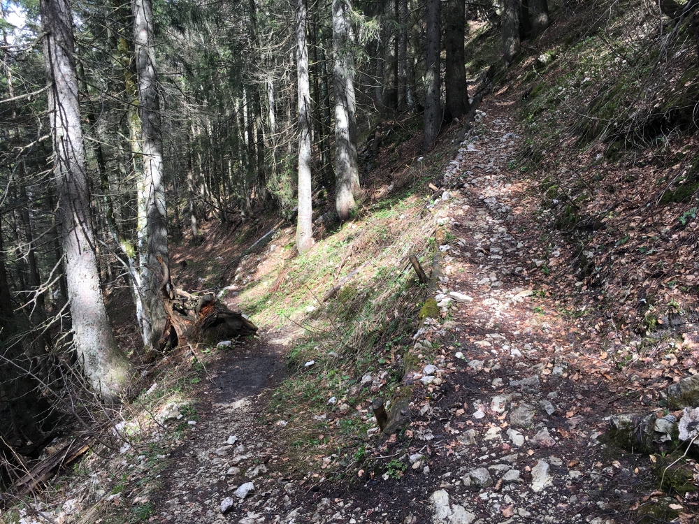 Wanderung Kleiner Rechenberg: Ein wunderschöner, alter Weg
