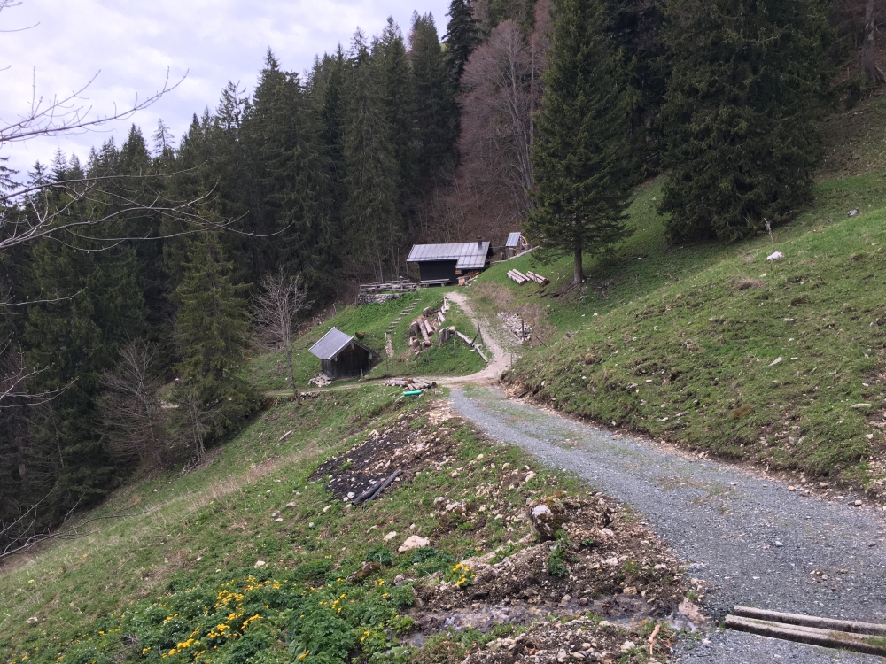 Wanderung Hasenpoint: An der Bergwachtdiensthütte-Kaltenbrunn vorbei