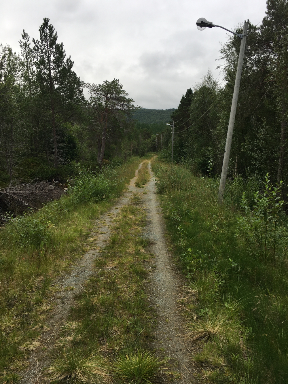 Wanderung Hattelia: Schlittenweg