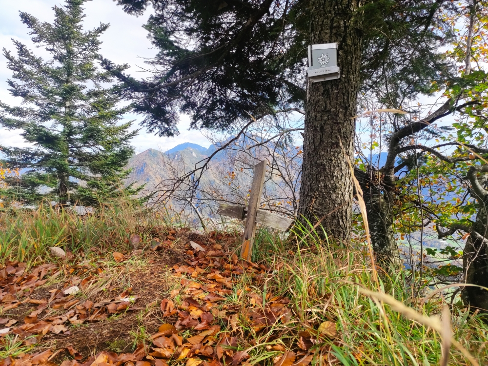 Wanderung Hochplatte und Friedenrath: Wanderung Hochplatte und Friedenrath: Gipfelkreuz (Hausleite)