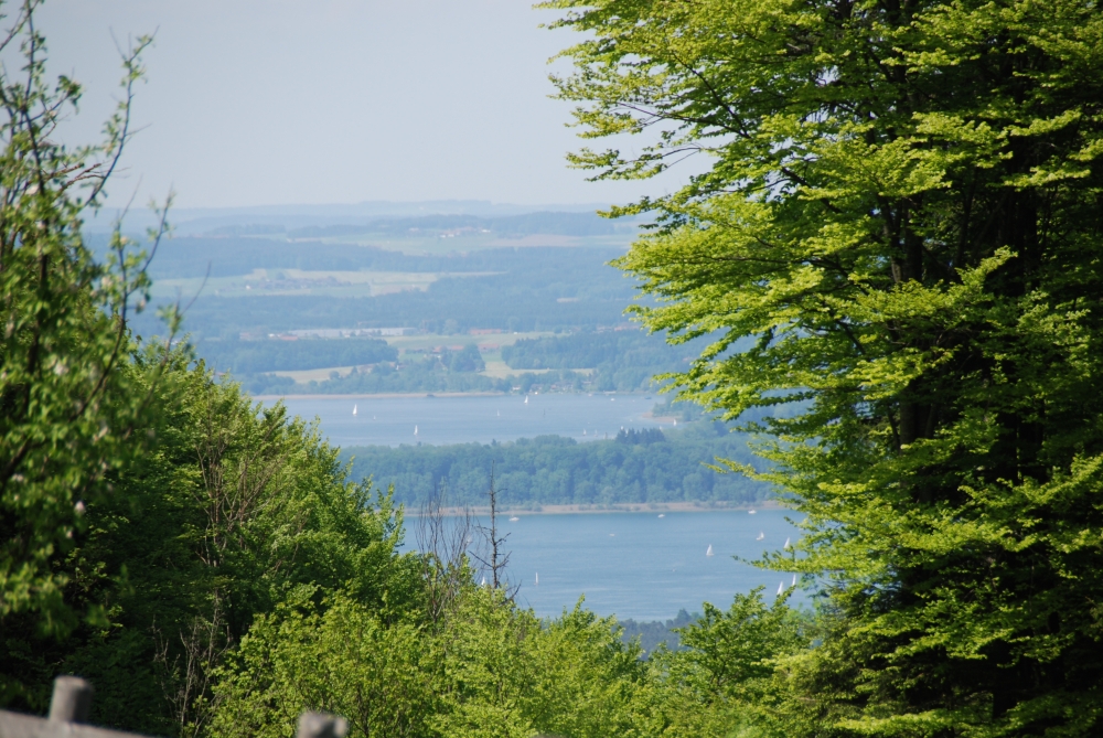 Wanderung Hefteralm: Wanderung Hefteralm: Chiemsee-Blick (Hefteralm)