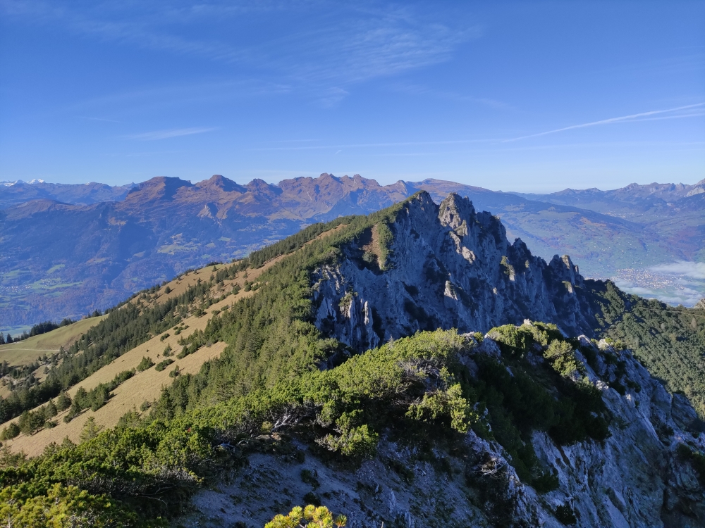 Wanderung Fürstensteig: Wanderung Fürstensteig: Blick zur Alpspitz (Helwangspitz)