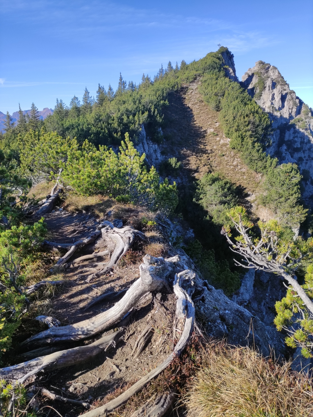 Wanderung Fürstensteig: Aufstieg zur Alpspitz