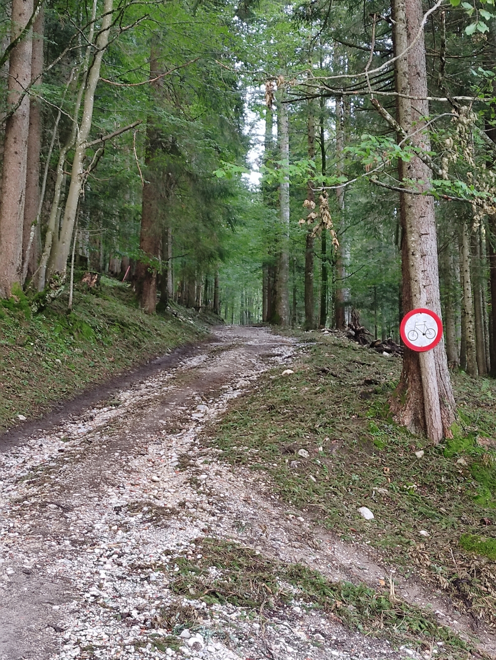 Wanderung Hennenkopf: Bikeverbot ab der Dudlalm