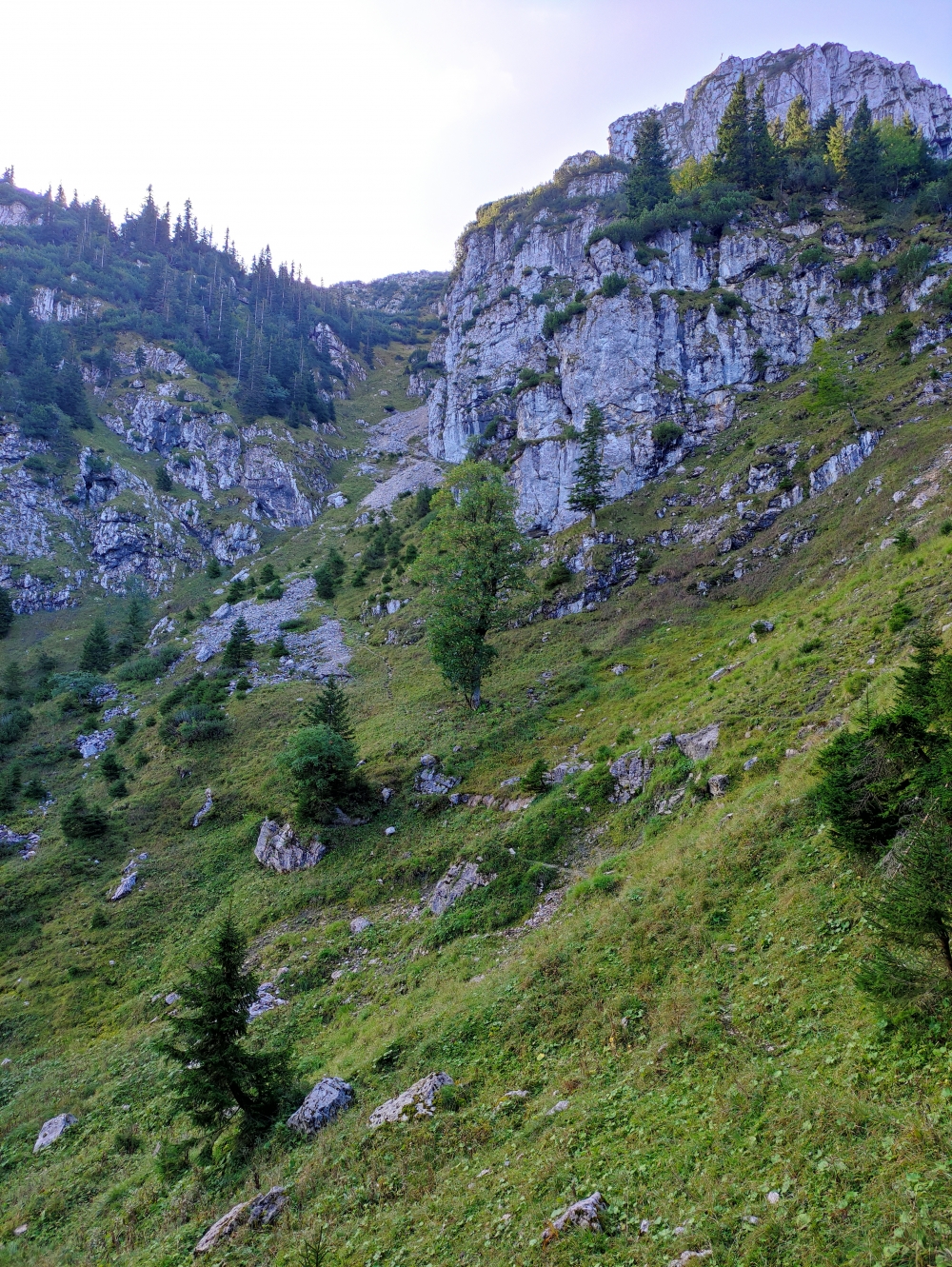 Wanderung Hennenkopf: Steil hinauf durch diese Grasrinne
