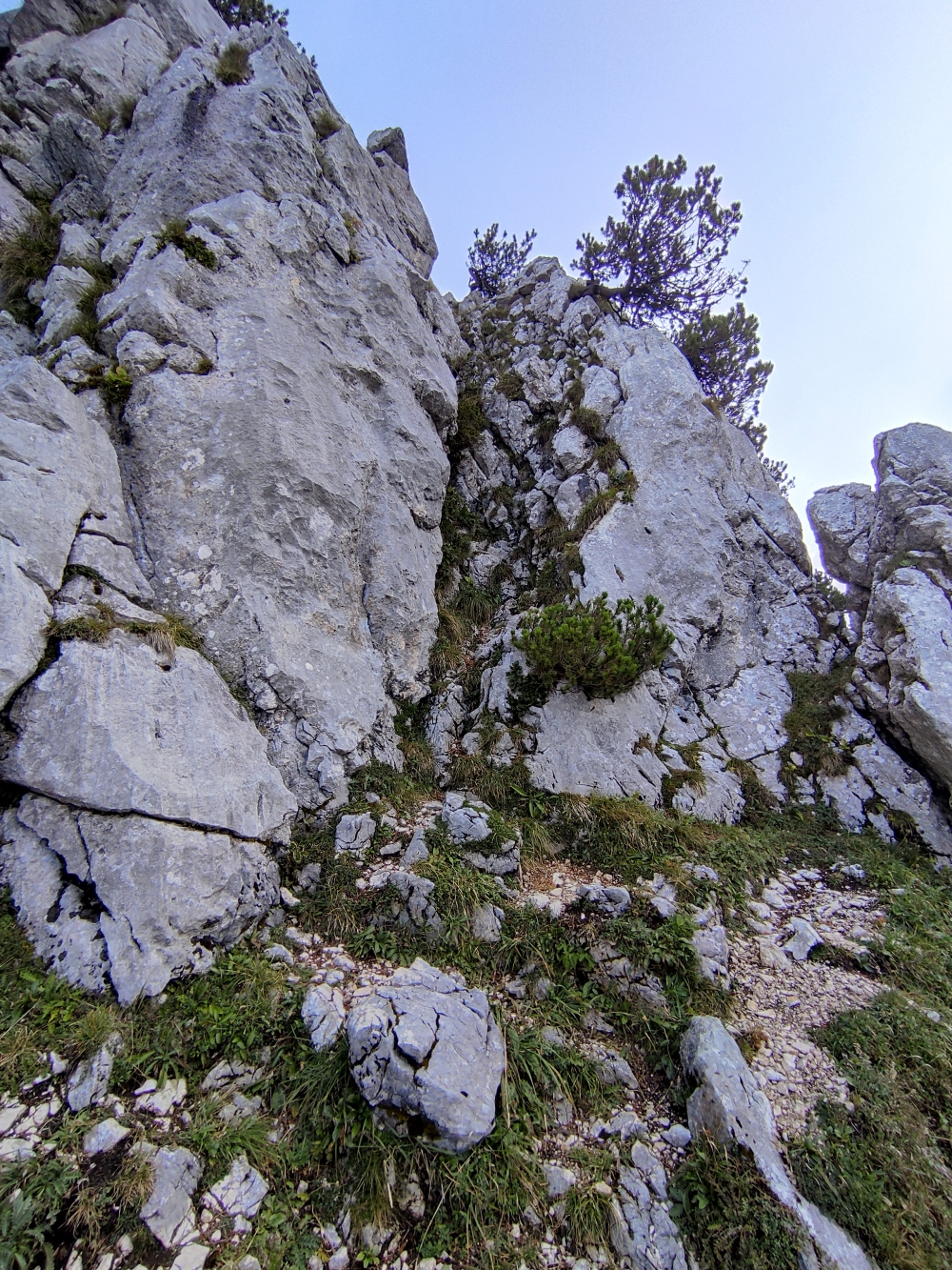 Wanderung Hennenkopf: Aufstieg kletternd durch die Rinne (Bildmitte)