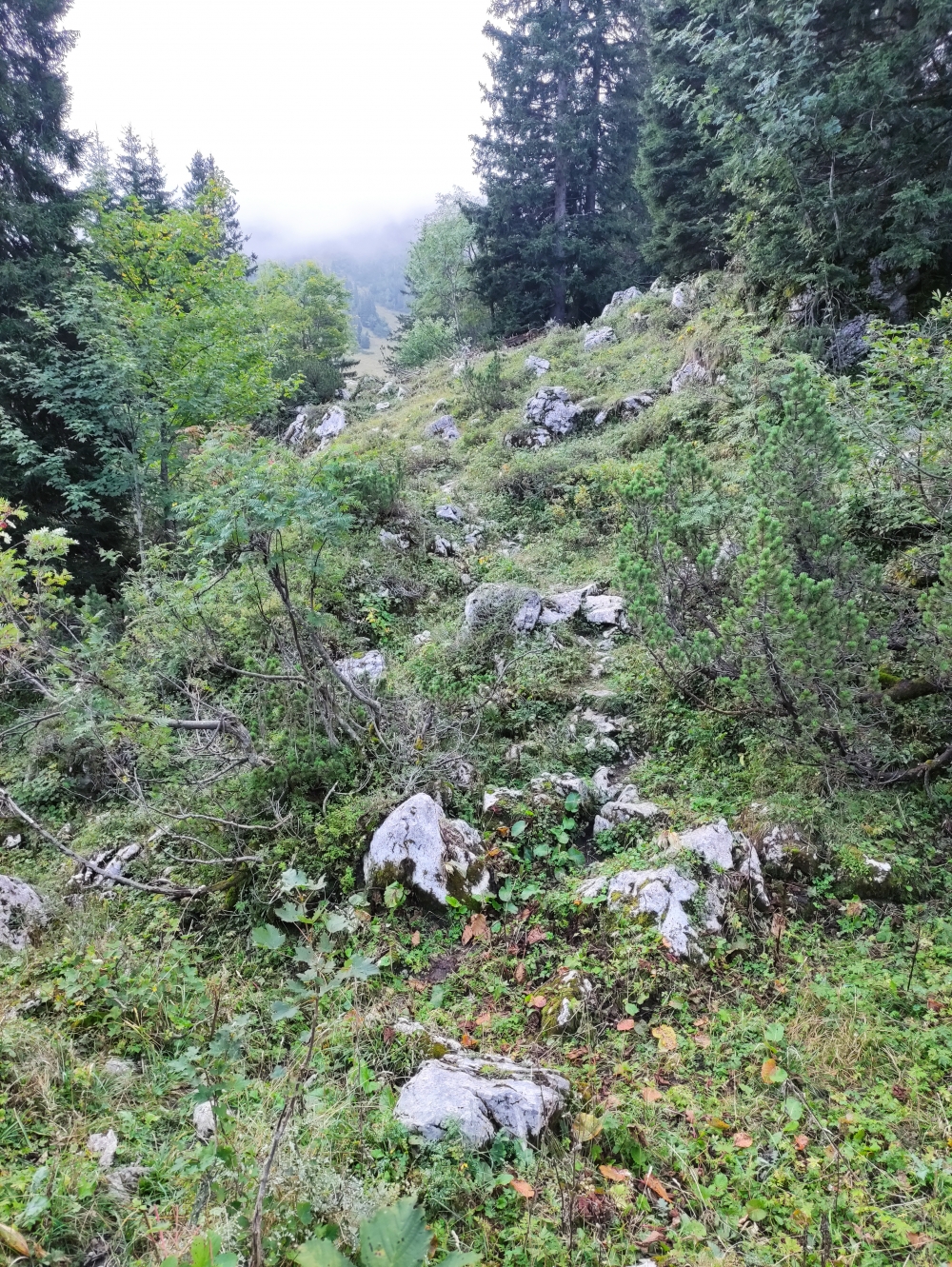 Wanderung Hennenkopf: Selten begangene Pfadspur