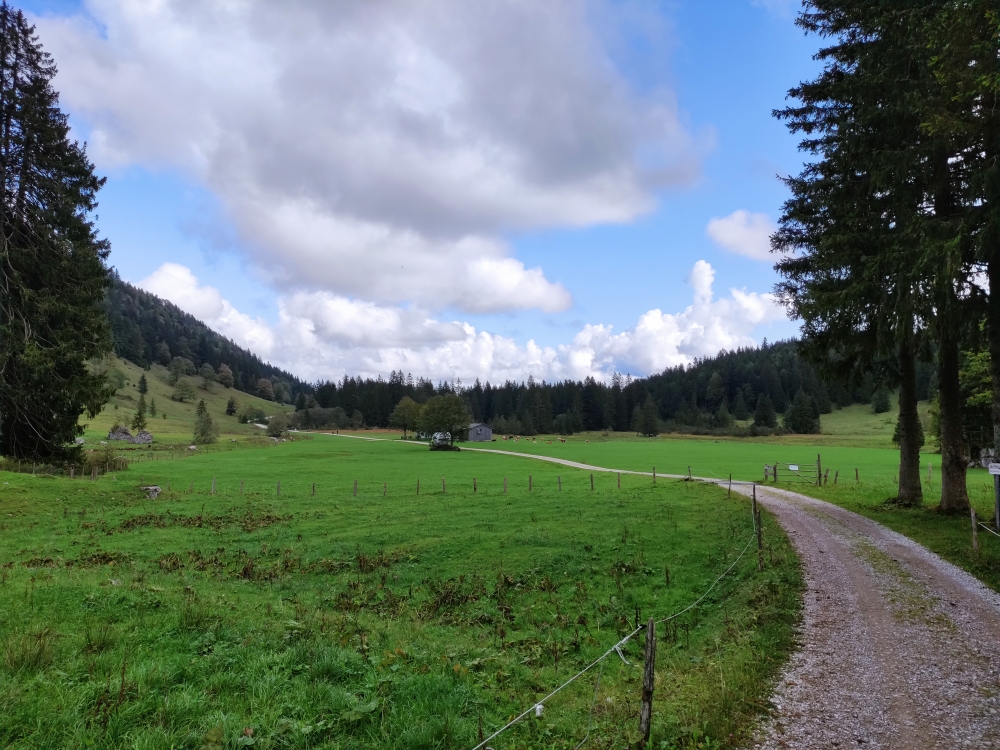 Wanderung Hennenkopf: Längental