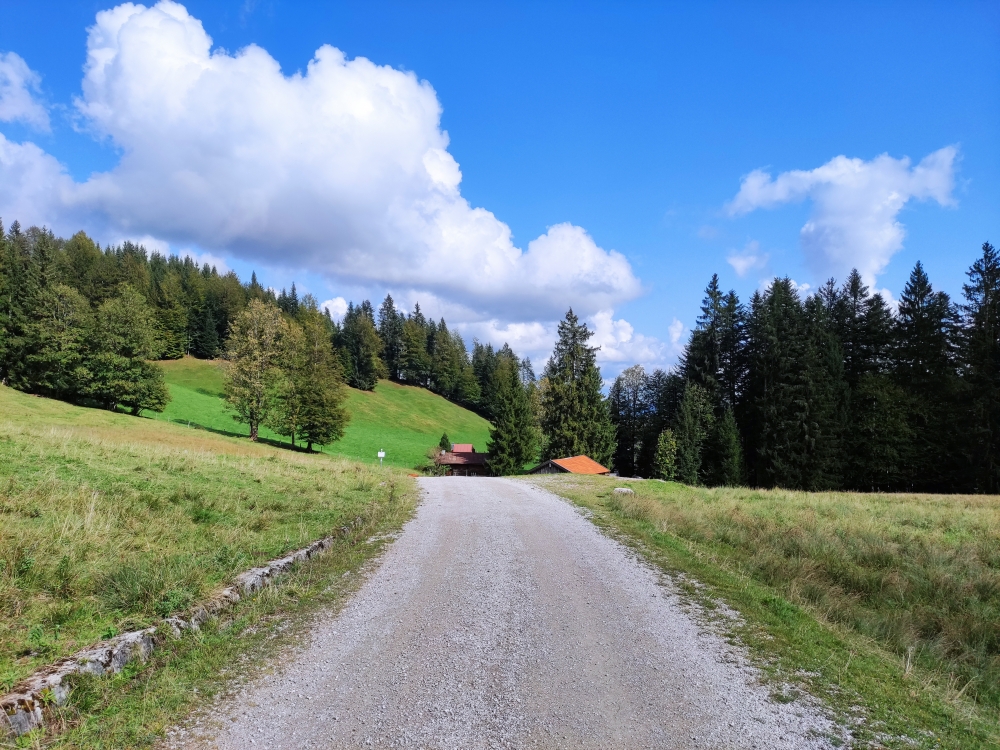 Wanderung Hennenkopf: Forststraße