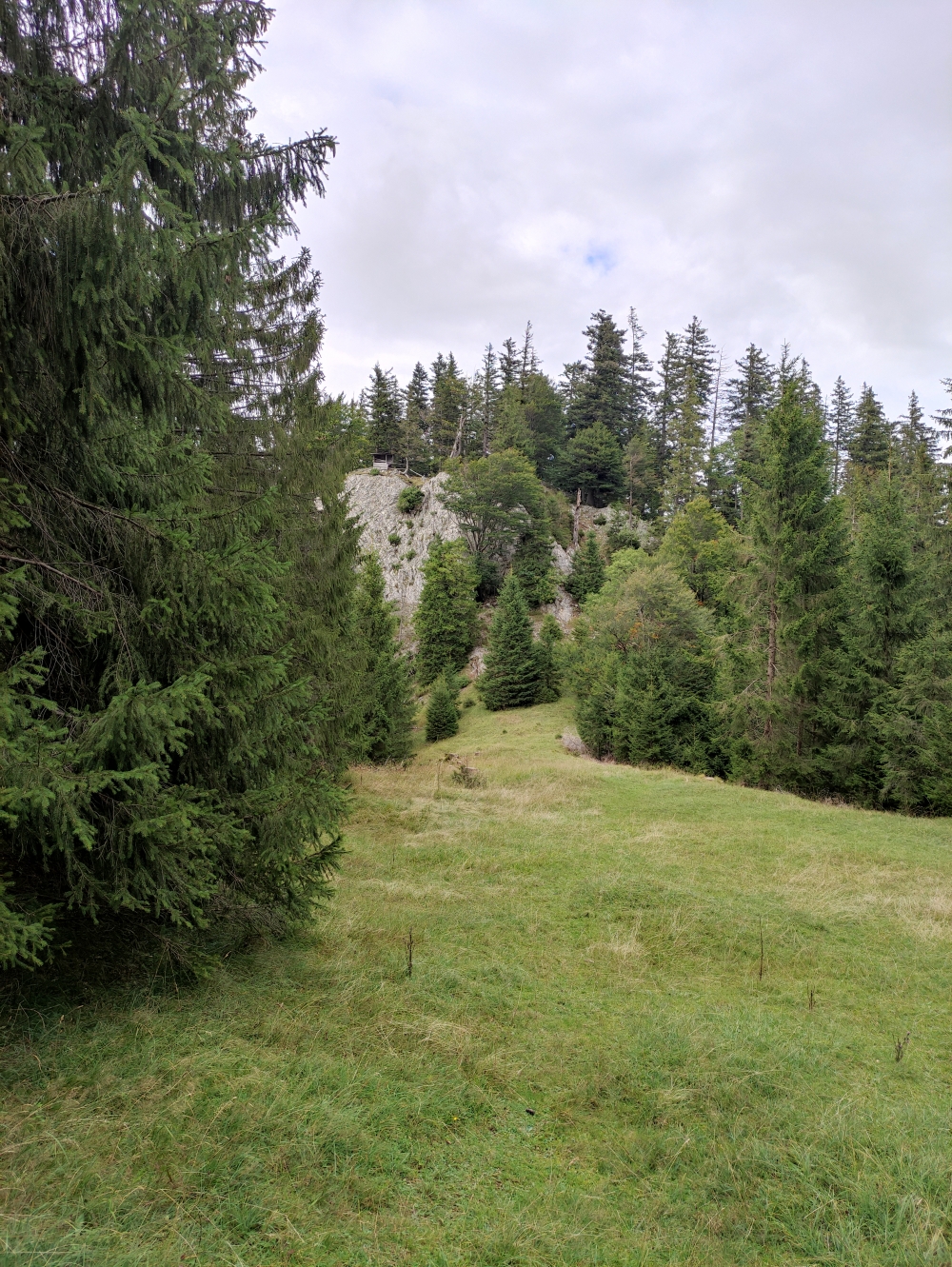 Wanderung Herzogstand vom Kochelsee über Rauteckkopf: Unterhalb der Rauteck-Alm