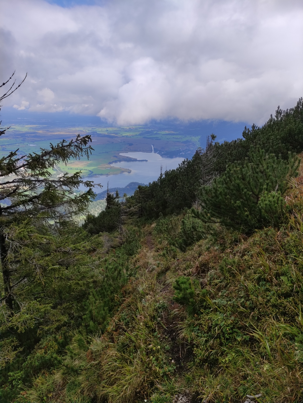 Wanderung Herzogstand vom Kochelsee über Rauteckkopf: Wenig ausgeprägter Weg
