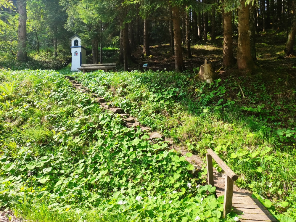 Wanderung Heuraffelkopf: Kaltwasserl