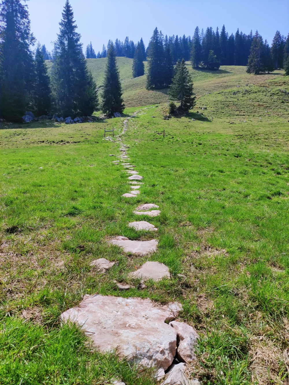 Wanderung Heuraffelkopf: Unzählige Stein- und Holzstufen führen zum Predigtstuhl