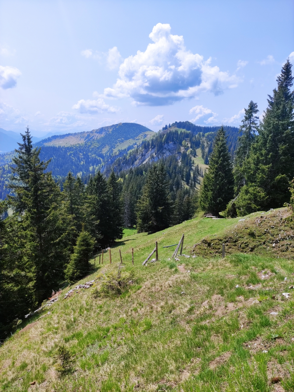 Wanderung Heuraffelkopf: Aufstieg zum Heuraffelkopf und Blick zurück zum Predigtstuhl und Klausenberg