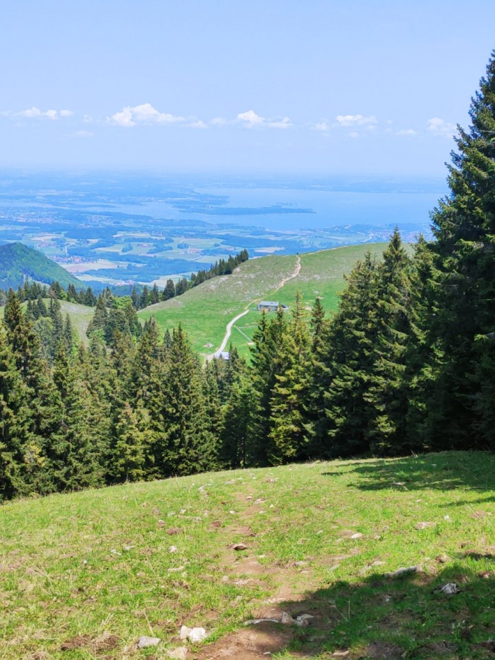Wanderung Heuraffelkopf: Abstieg zur Laubensteinalm