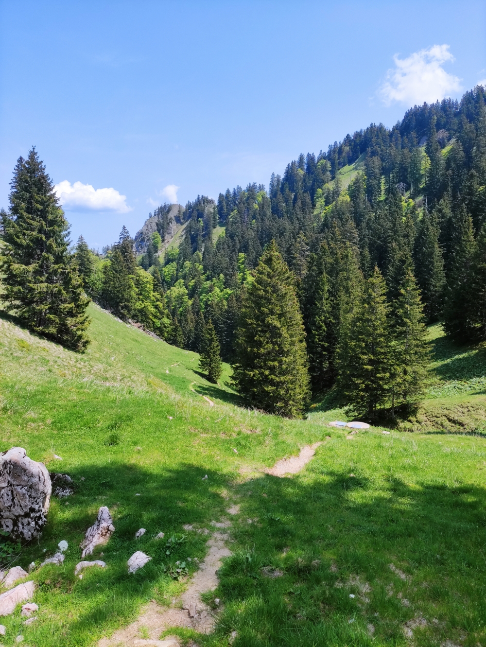 Wanderung Heuraffelkopf: Weg
